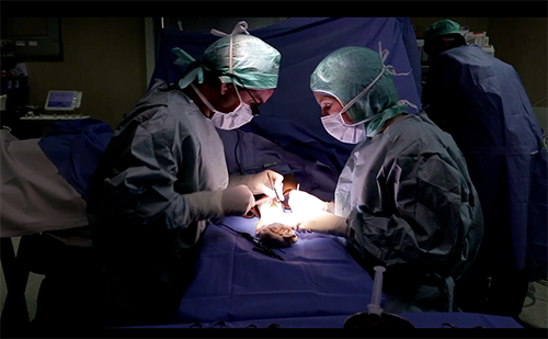 intervention_dr_bourriez